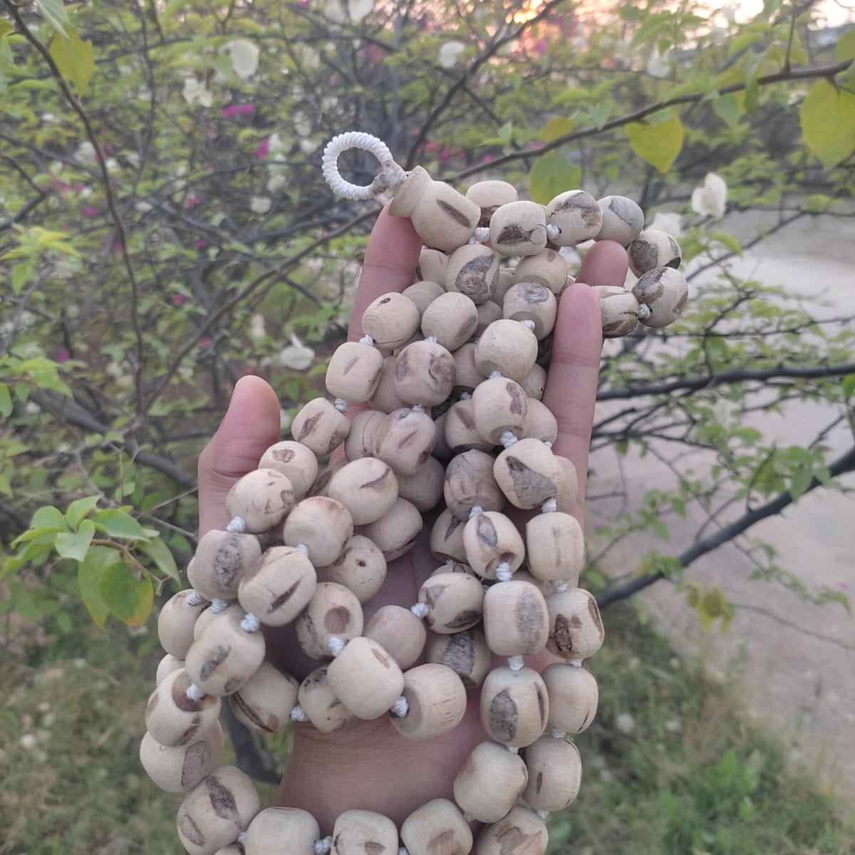 108+1 Beads 18 mm Pure Tulsi Jaap Mala