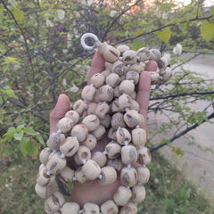 108+1 Beads 18 mm Pure Tulsi Jaap Mala