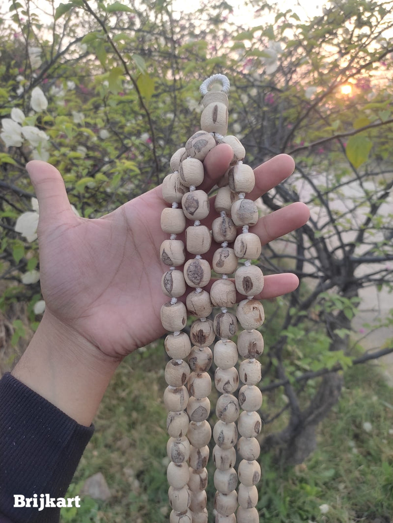 108+1 Beads 18 mm Pure Tulsi Jaap Mala