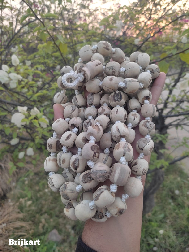 20–22 mm Large Beads Pure Tulsi Jaap Mala