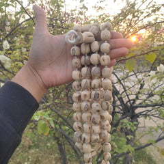 108+1 Beads 18 mm Pure Tulsi Jaap Mala