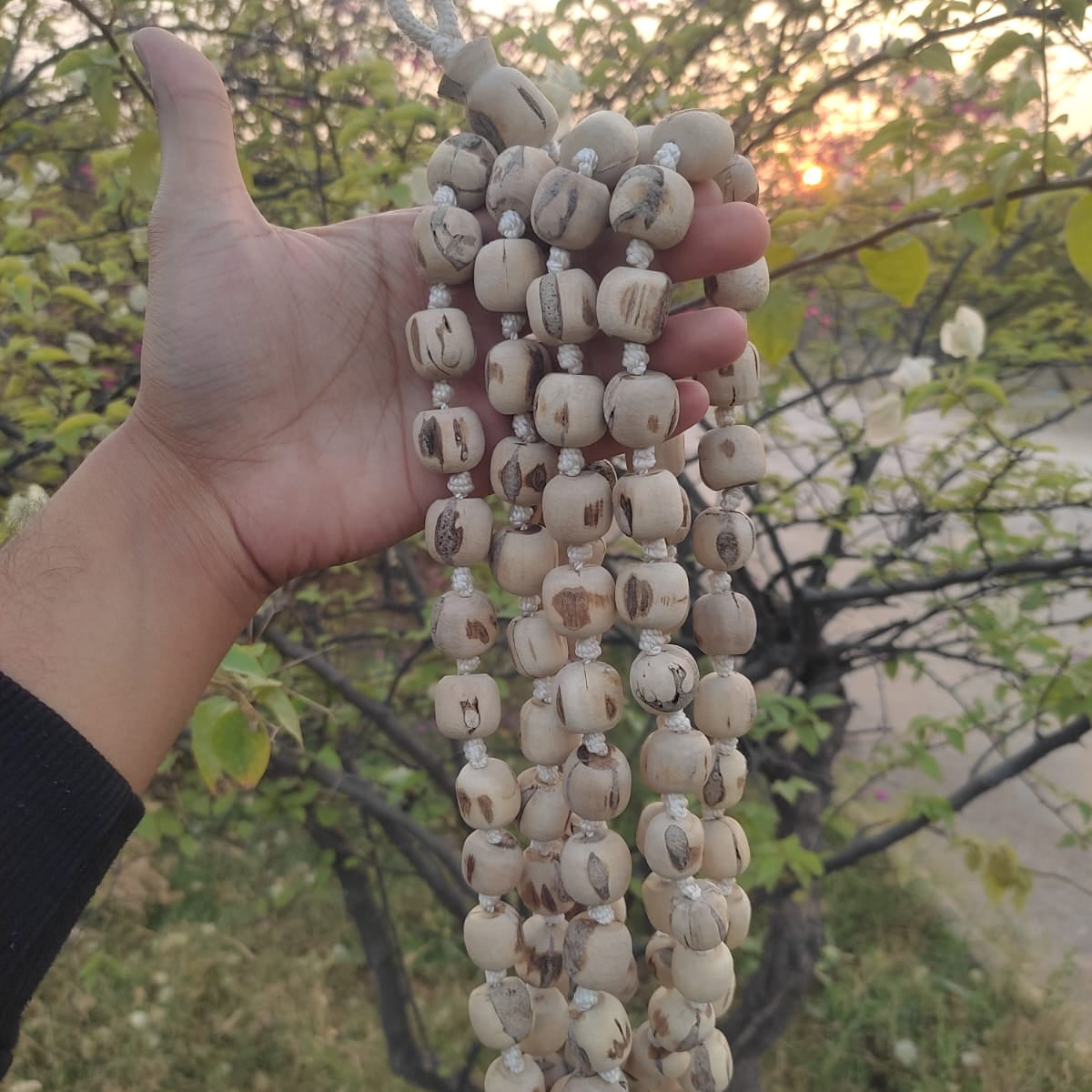 20–22 mm Large Beads Pure Tulsi Jaap Mala
