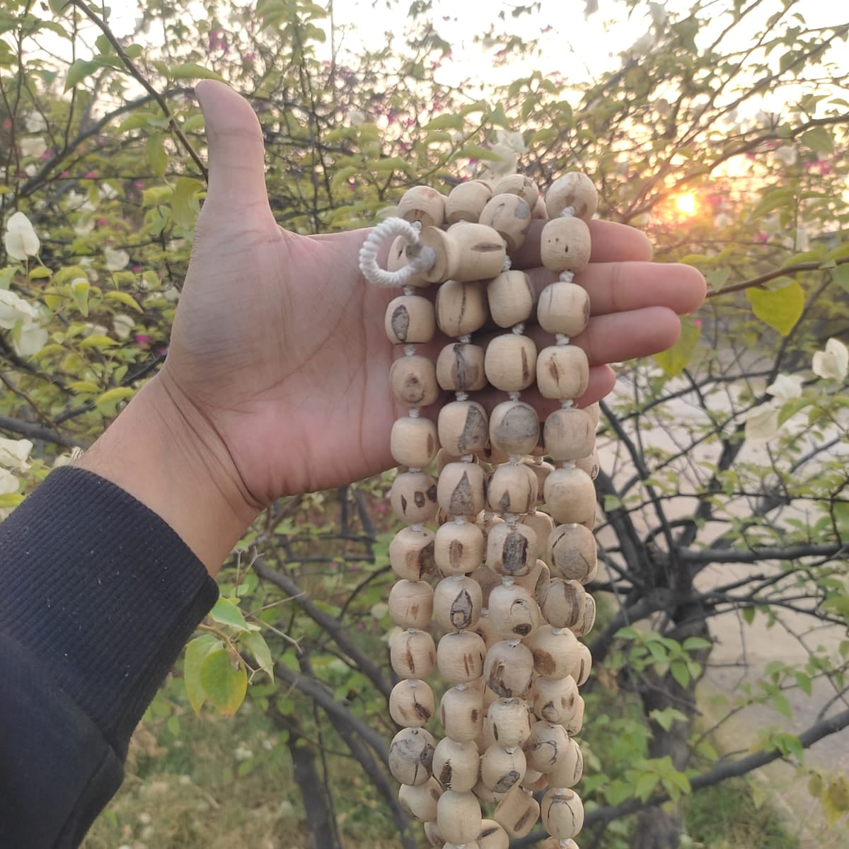 108+1 Beads 18 mm Pure Tulsi Jaap Mala