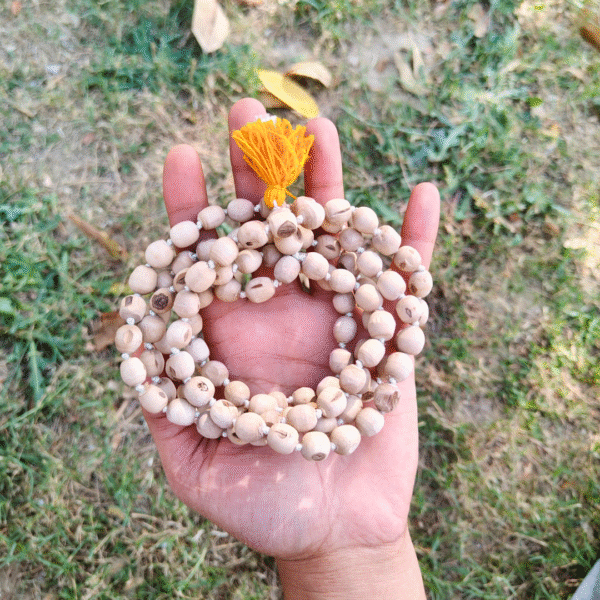 Pure Tulsi Mala, Tulsi Japa Mala, Tulsi Mala for Chanting, 108 Beads Tulsi Mala, Tulsi Mala, Original Tulsi Mala, Handmade Tulsi Mala, Natural Tulsi Beads, Tulsi Mala for Men, Tulsi Mala for Women, Tulsi Mala ISKCON, Tulsi Mala for Meditation, Spiritual Tulsi Mala, Tulsi Mala with Thread, Krishna Tulsi Mala, Vaishnav Tulsi Mala, Tulsi Mala for Puja, Japa Mala for Chanting, 108+1 Beads Mala, Tulsi Meditation Mala