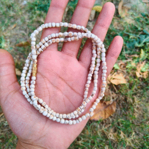 Pure Tulsi Mala, Tulsi Mala, Original Tulsi Mala, Handmade Tulsi Mala, Tulsi Mala for Men, Tulsi Mala for Women, Tulsi Kanthi Mala, Double Round Tulsi Mala, Tulsi Mala for Neck, Tulsi Mala for Japa, Tulsi Mala ISKCON, Natural Tulsi Beads, Tulsi Mala for Puja, Spiritual Tulsi Mala, Tulsi Mala with Thread, Tulsi Mala for Meditation, Krishna Tulsi Mala, Vaishnav Tulsi Mala, Tulsi Japa Mala