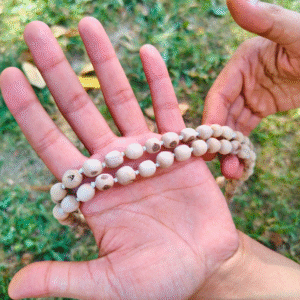 Pure Tulsi Mala, Tulsi Japa Mala, Tulsi Mala for Chanting, 108 Beads Tulsi Mala, Tulsi Mala, Original Tulsi Mala, Handmade Tulsi Mala, Natural Tulsi Beads, Tulsi Mala for Men, Tulsi Mala for Women, Tulsi Mala ISKCON, Tulsi Mala for Meditation, Spiritual Tulsi Mala, Tulsi Mala with Thread, Krishna Tulsi Mala, Vaishnav Tulsi Mala, Tulsi Mala for Puja, Japa Mala for Chanting, 108+1 Beads Mala, Tulsi Meditation Mala