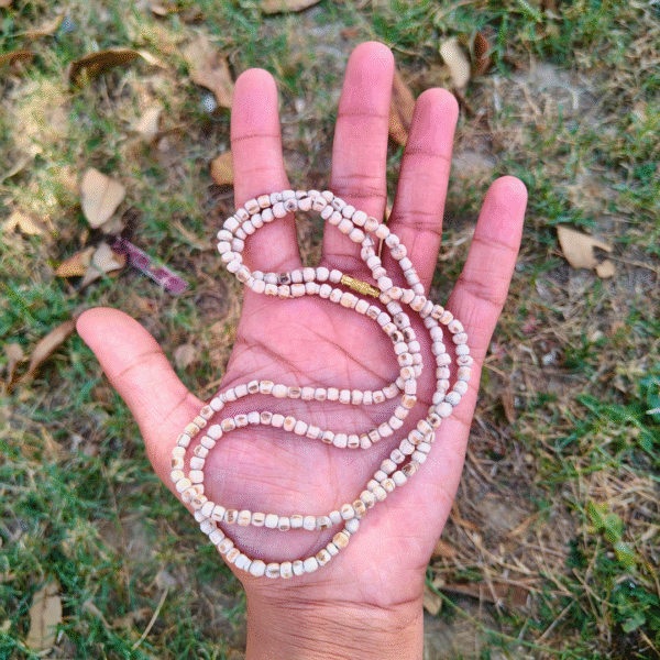Pure Tulsi Mala, Tulsi Mala, Original Tulsi Mala, Handmade Tulsi Mala, Tulsi Mala for Men, Tulsi Mala for Women, Tulsi Kanthi Mala, Double Round Tulsi Mala, Tulsi Mala for Neck, Tulsi Mala for Japa, Tulsi Mala ISKCON, Natural Tulsi Beads, Tulsi Mala for Puja, Spiritual Tulsi Mala, Tulsi Mala with Thread, Tulsi Mala for Meditation, Krishna Tulsi Mala, Vaishnav Tulsi Mala, Tulsi Japa Mala