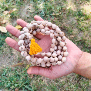 Pure Tulsi Mala, Tulsi Japa Mala, Tulsi Mala for Chanting, 108 Beads Tulsi Mala, Tulsi Mala, Original Tulsi Mala, Handmade Tulsi Mala, Natural Tulsi Beads, Tulsi Mala for Men, Tulsi Mala for Women, Tulsi Mala ISKCON, Tulsi Mala for Meditation, Spiritual Tulsi Mala, Tulsi Mala with Thread, Krishna Tulsi Mala, Vaishnav Tulsi Mala, Tulsi Mala for Puja, Japa Mala for Chanting, 108+1 Beads Mala, Tulsi Meditation Mala