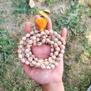 Pure Tulsi Mala, Tulsi Japa Mala, Tulsi Mala for Chanting, 108 Beads Tulsi Mala, Tulsi Mala, Original Tulsi Mala, Handmade Tulsi Mala, Natural Tulsi Beads, Tulsi Mala for Men, Tulsi Mala for Women, Tulsi Mala ISKCON, Tulsi Mala for Meditation, Spiritual Tulsi Mala, Tulsi Mala with Thread, Krishna Tulsi Mala, Vaishnav Tulsi Mala, Tulsi Mala for Puja, Japa Mala for Chanting, 108+1 Beads Mala, Tulsi Meditation Mala